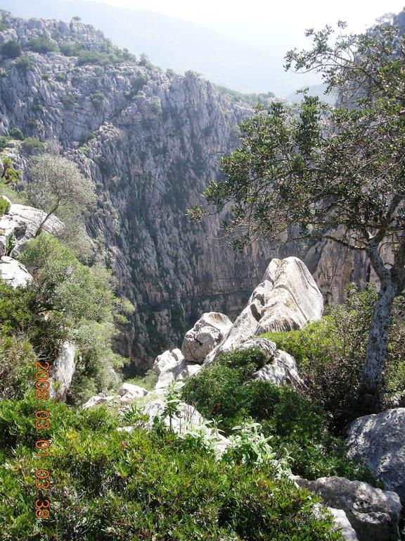 Casa Del Gastronomo Βίλα Cortes de la Frontera Δωμάτιο φωτογραφία
