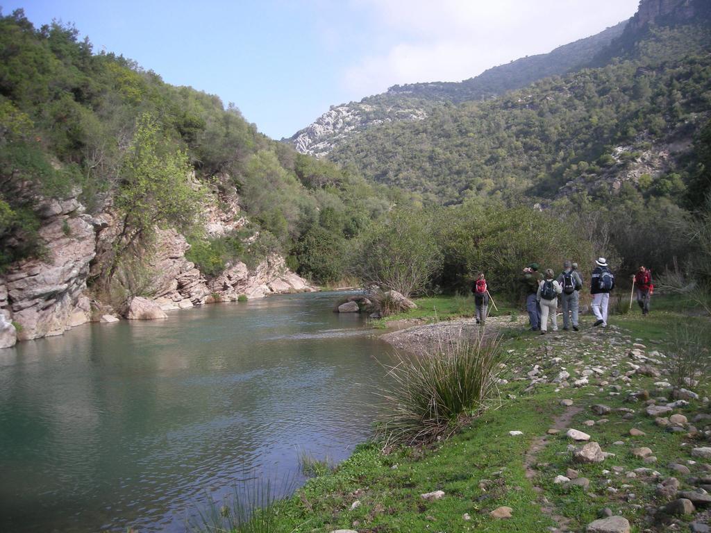 Casa Del Gastronomo Βίλα Cortes de la Frontera Δωμάτιο φωτογραφία