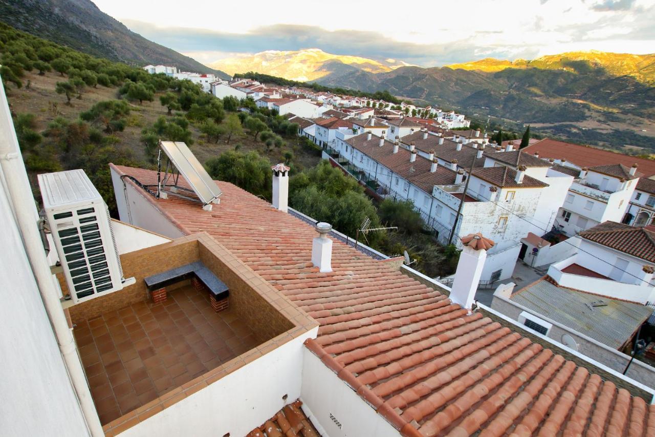 Casa Del Gastronomo Βίλα Cortes de la Frontera Εξωτερικό φωτογραφία